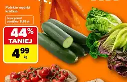 Carrefour Ogórki krótkie oferta