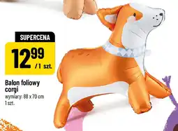 Polomarket Balon foliowy corgi oferta