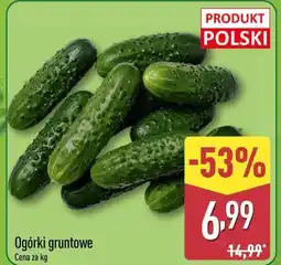 ALDI Ogórki gruntowe oferta