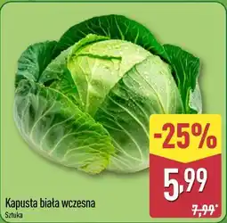 ALDI Kapusta biała wczesna oferta