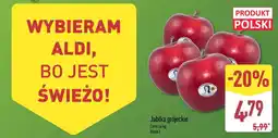 ALDI Jabłka grójeckie oferta