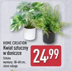 ALDI Kwiat sztuczny w doniczce home creation oferta