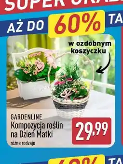 ALDI Gardenline Kompozycja roślin na Dzień Matki oferta
