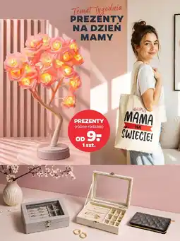 Netto Prezenty (różne rodzaje) oferta