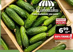 Netto Ogórek gruntowy luz oferta