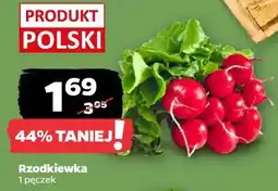 Netto Rzodkiewka 1 pęczek oferta