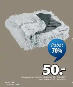 JYSK Lotus Koc oferta