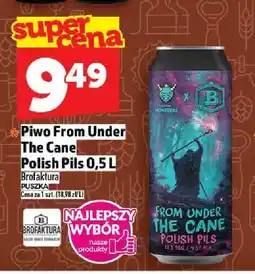 Topaz Piwo From Under The Cane Polish Pils oferta