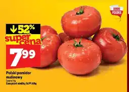Topaz Polski pomidor malinowy oferta