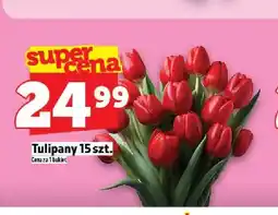 Topaz Tulipany oferta