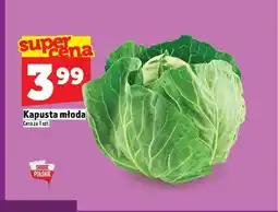 Topaz Kapusta młoda oferta