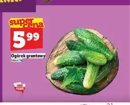 Topaz Ogórek gruntowy oferta