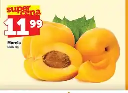 Topaz Morela oferta
