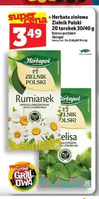 Topaz Herbata ziołowa Zielnik Polski 30/40g oferta