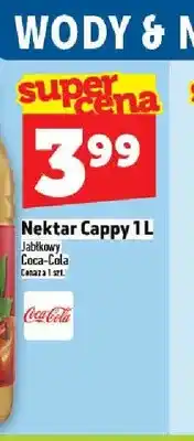 Topaz Nektar Cappy Jabłkowy Mętny oferta