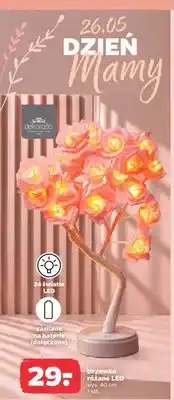 Netto Drzewko różane LED wys. 40cm oferta