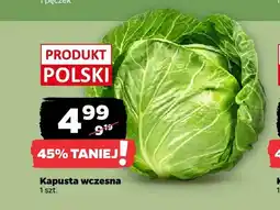 Netto Kapusta wczesna polska oferta