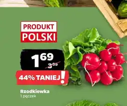Netto Rzodkiewka polska oferta