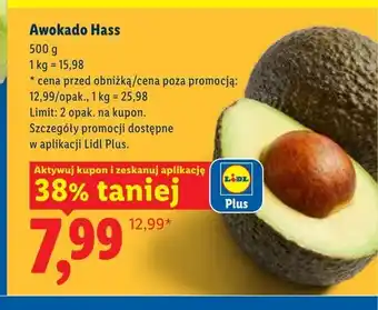 Lidl Awokado Hass oferta