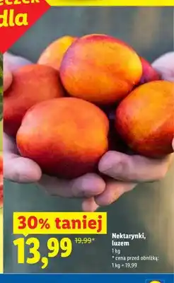 Lidl Nektarynki luzem oferta