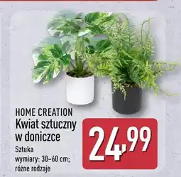 ALDI Kwiat sztuczny w doniczce HOME CREATION 30-60cm oferta