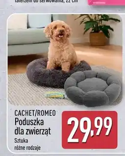 ALDI Poduszka dla zwierząt ROMEO oferta