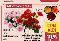 ALDI Róże wielokwiatowe GARDENLINE 50cm oferta