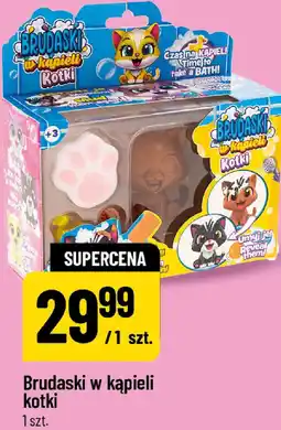 Polomarket Brudaski w kąpieli kotki oferta