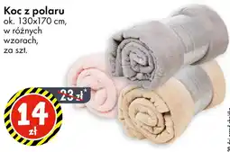 Tedi TEDi koc z polaru oferta