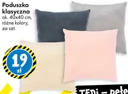Tedi TEDi poduszka klasyczna oferta