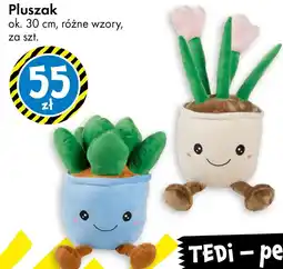 Tedi TEDi pluszak oferta