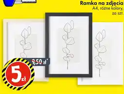 Tedi TEDi ramka na zdjęcia oferta