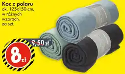 Tedi TEDi koc z polaru oferta