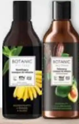 Drogerie Natura Botanic Hairfood szampon oferta