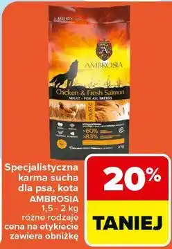 Carrefour Specjalistyczna karma sucha dla psa, kota AMBROSIA oferta