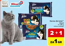 Carrefour Karma dla kota FELIX oferta