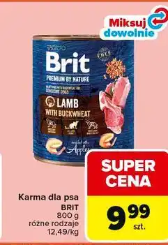 Carrefour Karma dla psa BRIT oferta