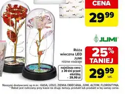 Carrefour Róża wieczna LED oferta