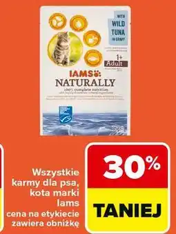 Carrefour Wszystkie karmy dla psa, kota marki Iams oferta
