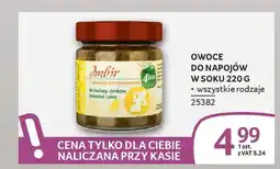 Selgros Owoce do napojów w soku oferta