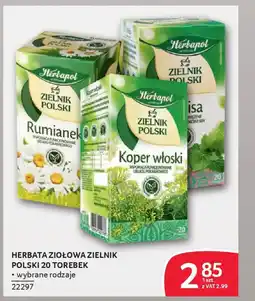 Selgros Herbata ziołowa zielnik polski oferta