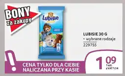 Selgros Lubisie oferta