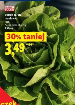 Lidl Polska sałata masłowa oferta