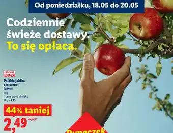 Lidl Polskie jabłka czerwone, luzem oferta