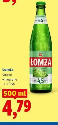 Lidl Łomża oferta