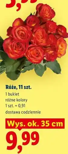 Lidl Róże, 11 szt oferta