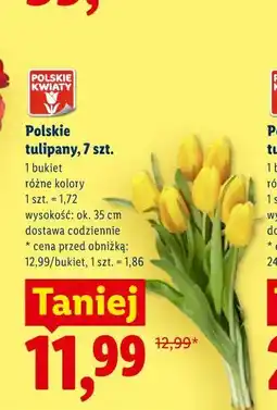 Lidl Polskie tulipany, 7 szt oferta