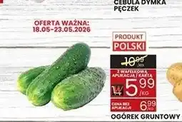 Wafelek Ogórek gruntowy polski oferta