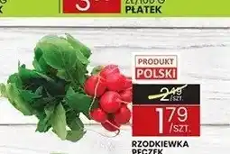 Wafelek Rzodkiewka pęczek polska oferta