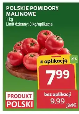 Stokrotka Pomidory malinowe polskie oferta